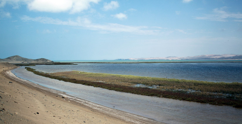 Albufera de Paraíso