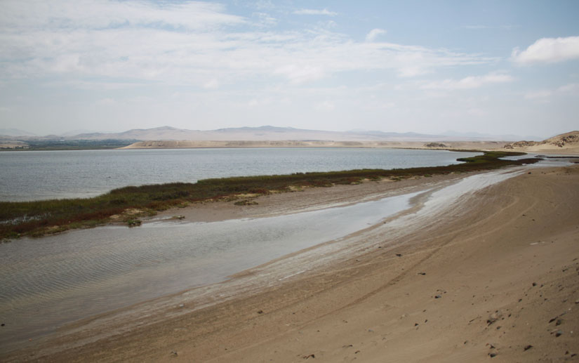Albufera de Paraíso