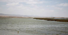 Albufera de Paraíso