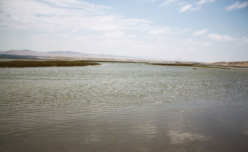 Albufera de Paraíso